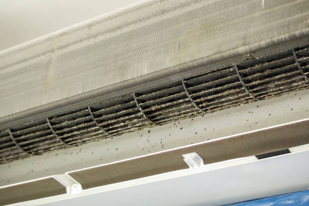 Best HVAC Maintenance and Cleaning  in Keizer, OR